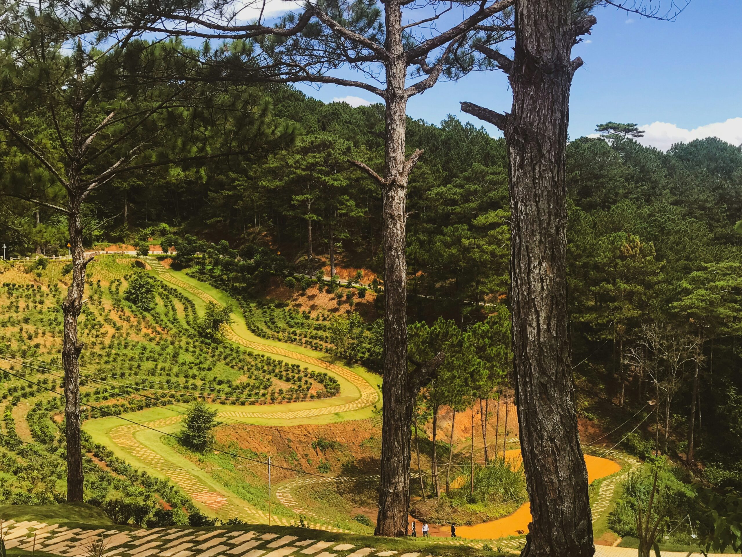 Exclusive Vineyard Tour Led by a Sommelier During Luxury Bus Trip