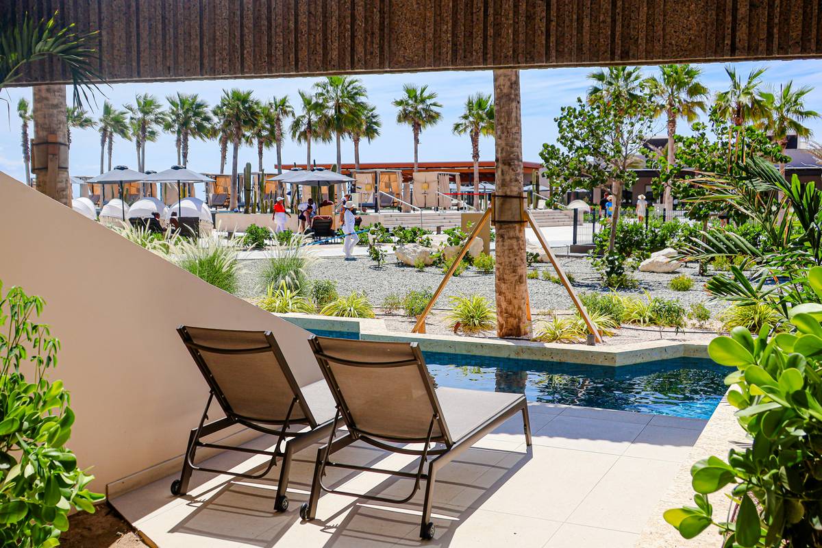 Premium Luxury Transportation: Why Your Next Adventure Needs it