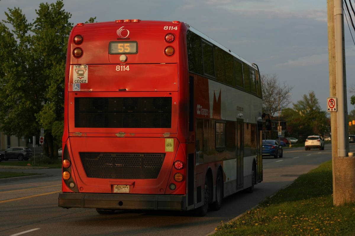 Why Choose Premium Guided Bus Tours for Your Next Adventure?