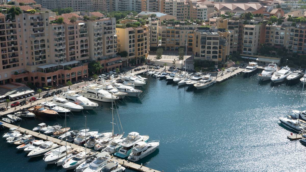 A sleek modern luxury bus parked by a scenic mountain overlook