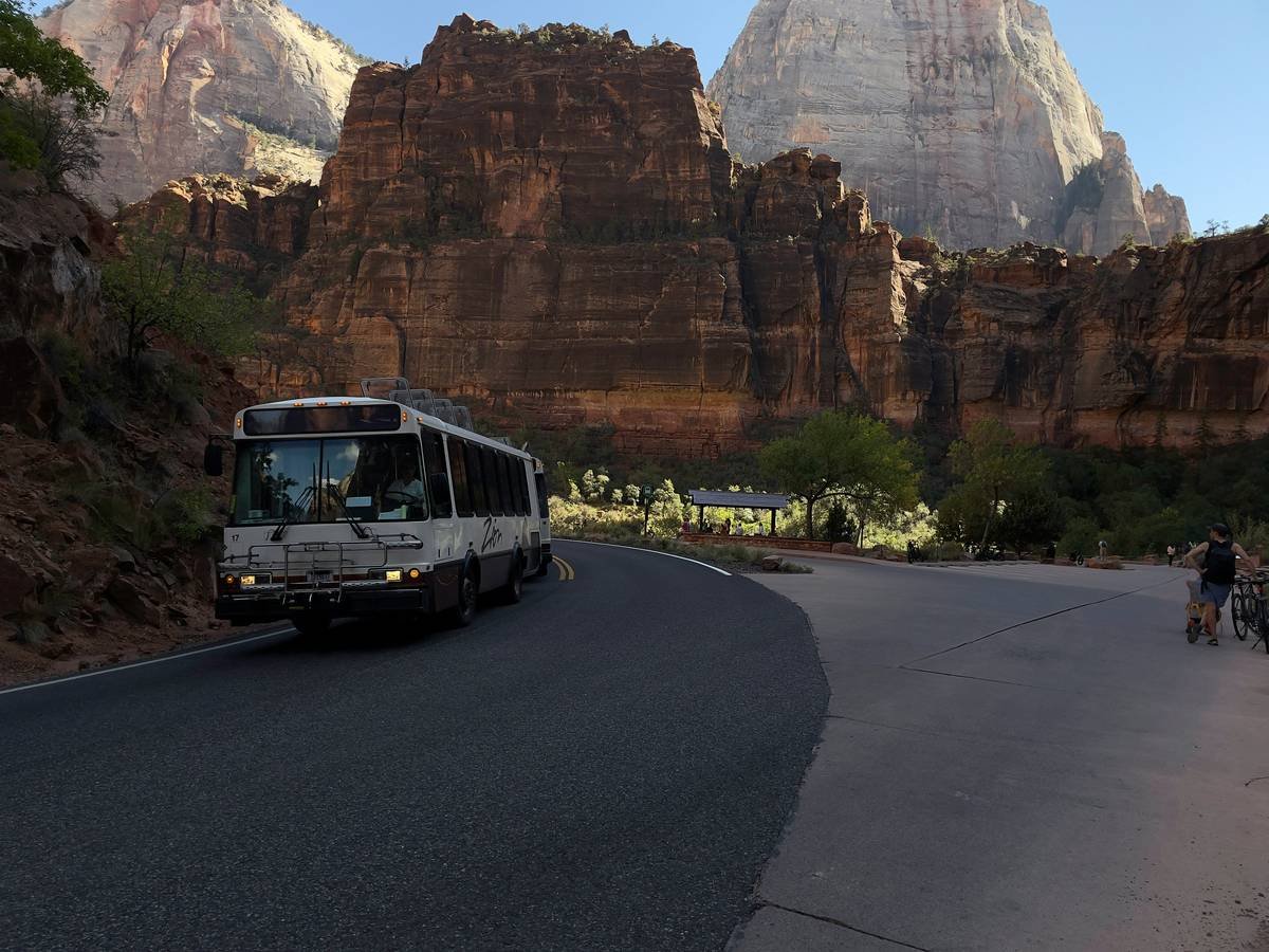 Luxury bus interior featuring leather seats, wood accents, and large windows