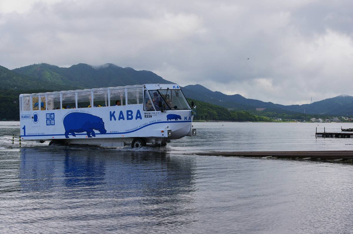 Why Premium Bus Rides Are the Underrated Secret to Luxury Travel (No, Really)