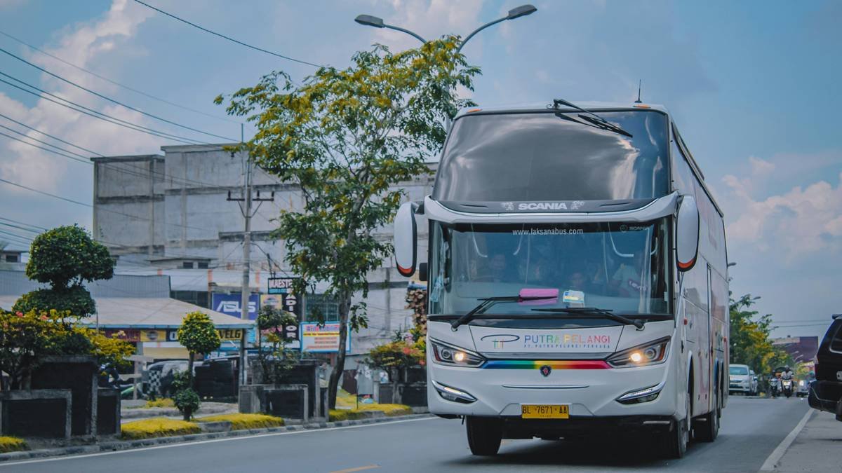 Infographic comparing standard vs VIP coach bus amenities: seating space, Wi-Fi quality, catering options, and guide certification levels