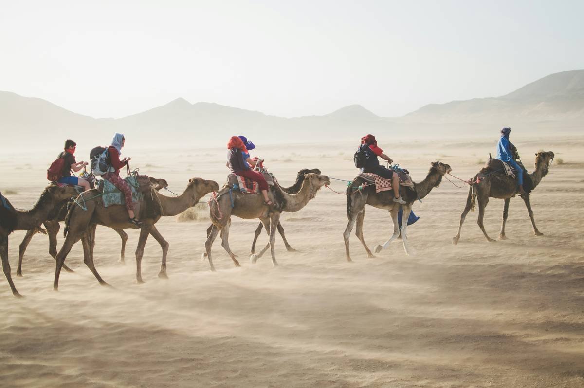 Luxury Coach Trips Kings Lynn: Your Passport to Refined Road Travel in East Anglia