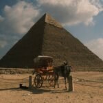 Why Travel by Luxury Buses Is the Elite Choice Most Tourists Overlook