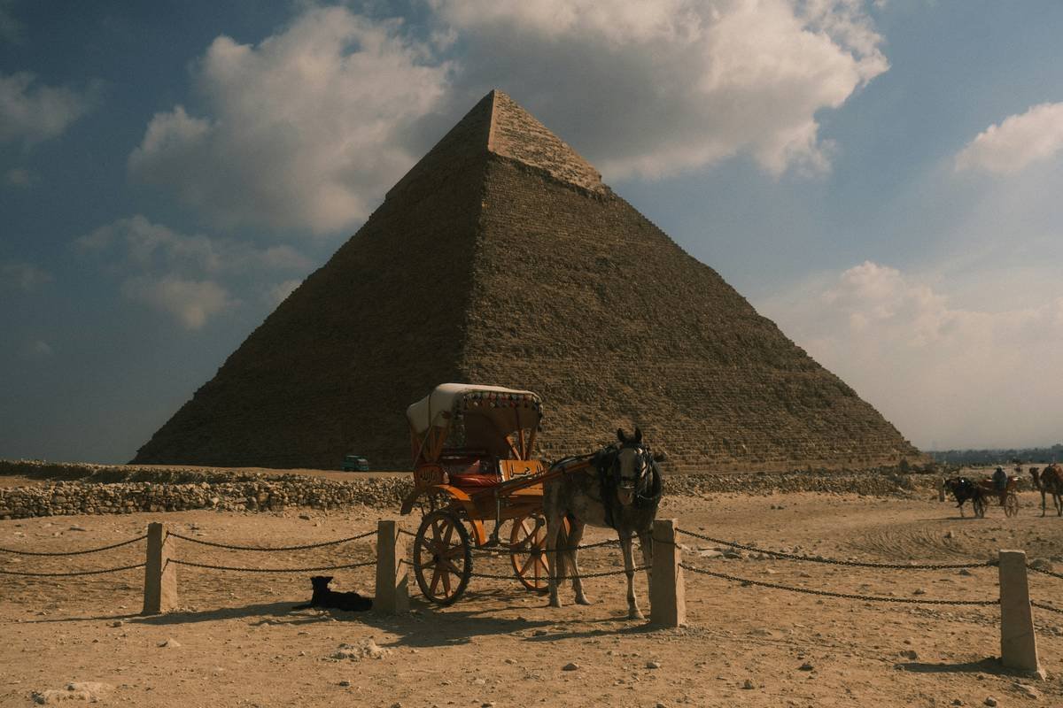 Why Travel by Luxury Buses Is the Elite Choice Most Tourists Overlook