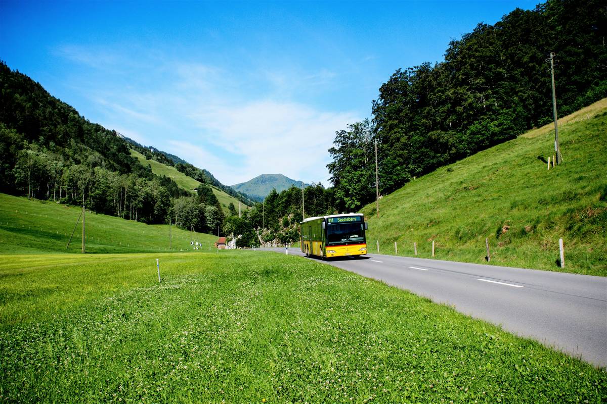 Luxury Bus Trips USA: 7 Proven Tips to Avoid Costly Mistakes